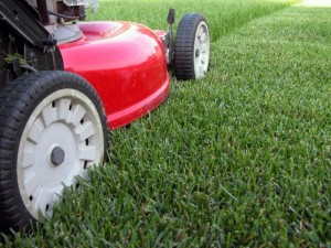 lawn-mown