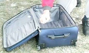 bed-bug-travel-safe