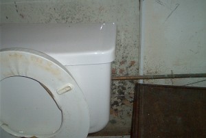 Black Mold Behind the Toilet Bowl