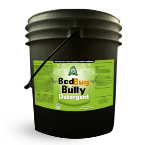 bed-bug-bully