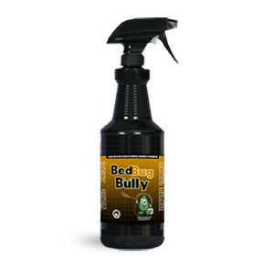 bed-bug-bully