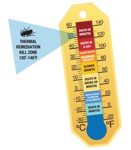 bed-bug-heat-treatment