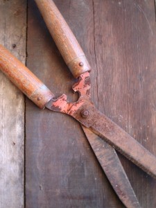 rust-on-garden-shears
