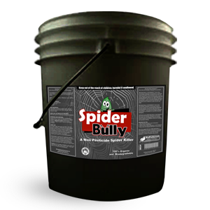 spider-bully