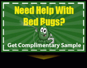 bed-bug-help