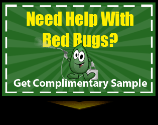 bed-bug-help
