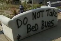 bed-bug-infested
