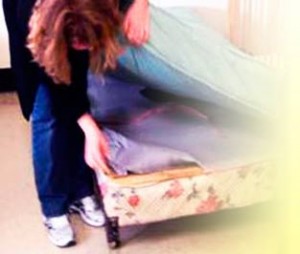 bed_bug_inspection