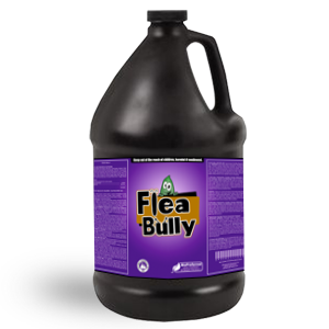 flea-bully