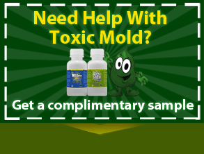 mold-help