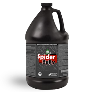 spider-bully
