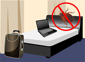 bed-bug-prevention