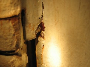 bed-bugs-in-cracks2