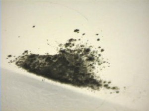 black-mold2