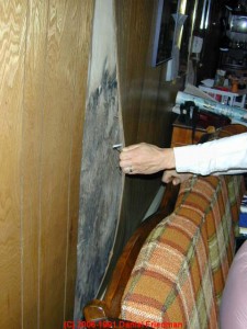 mold-inspection
