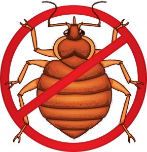 prevent-bed-bugs