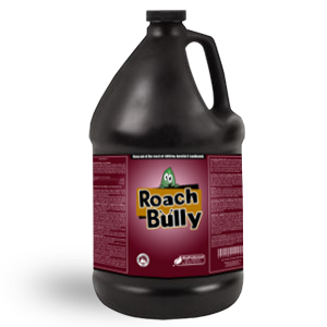 roach-bully