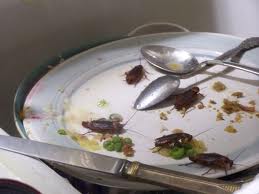 roaches-on-dirty-dishes