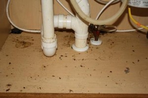 under-the-sink