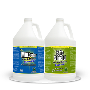 mold-kit