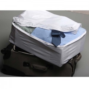 travel-bed-bug-free