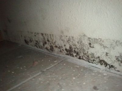 mold-after-flooding3