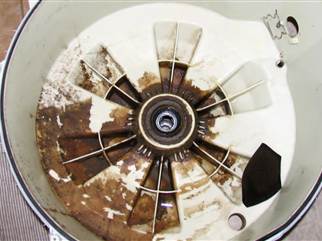mold-in-washing-machines