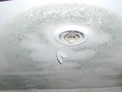 mold-moisture
