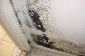 mold3