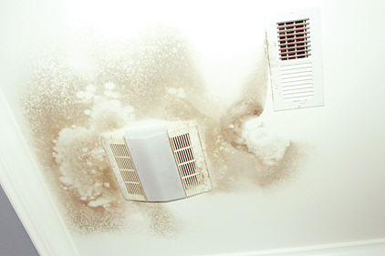 mold-in-hvac