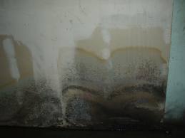mold11