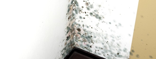 Mold in a Edge