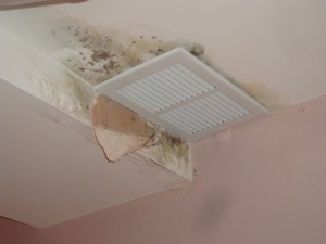 mold7
