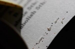 bedbugs-in-books