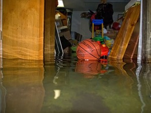mold-flooding