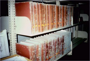 mold-in-books