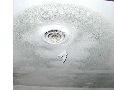 black-mold-ceiling2