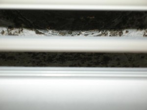 mold-in-AC3