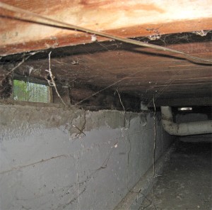 CrawlSpace