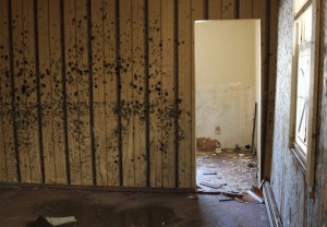 mold-after-sandy2